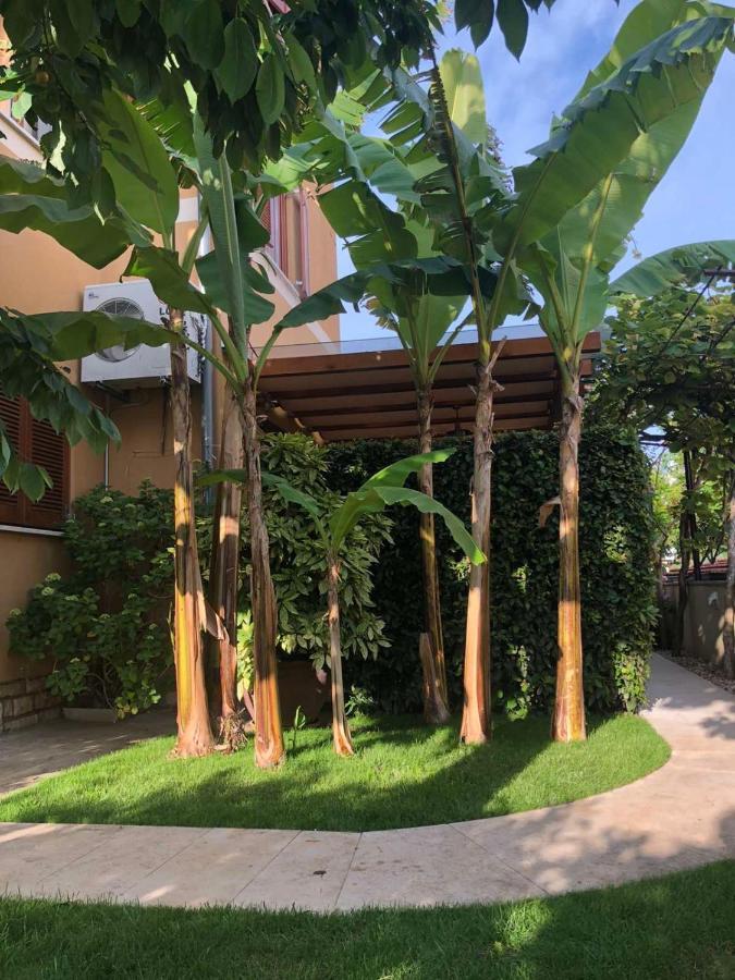 Villa Dolores Rovinj Ngoại thất bức ảnh